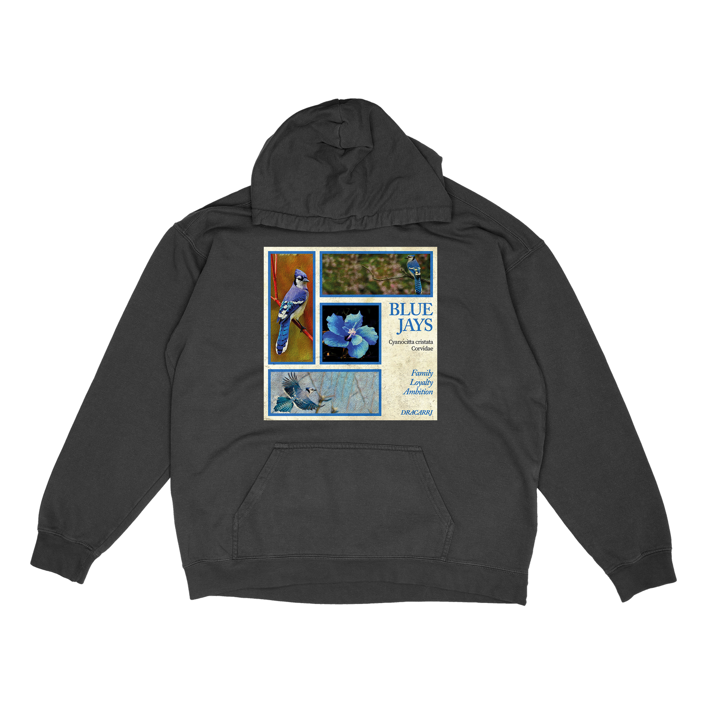 Blue Jay hoodie