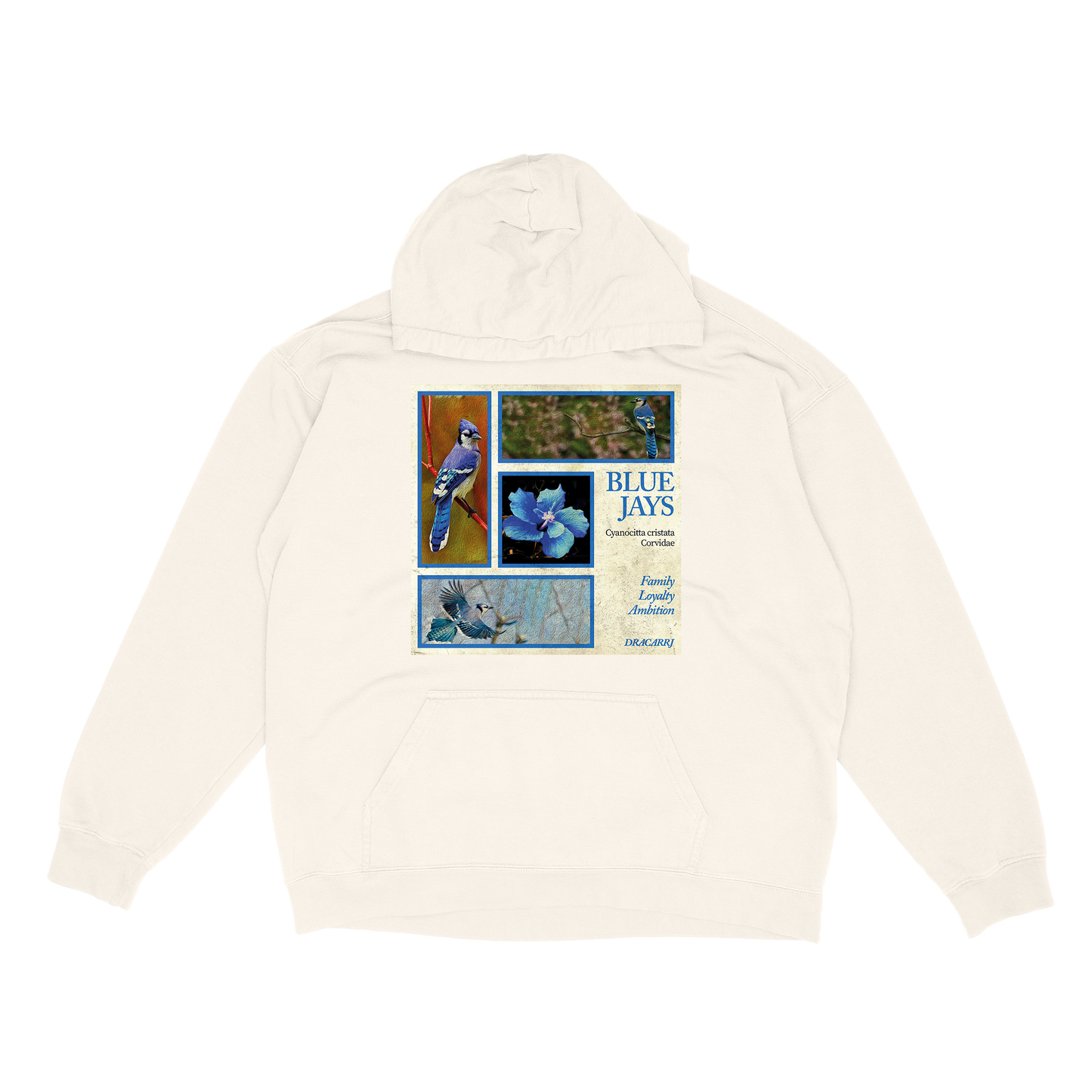 Blue Jay hoodie