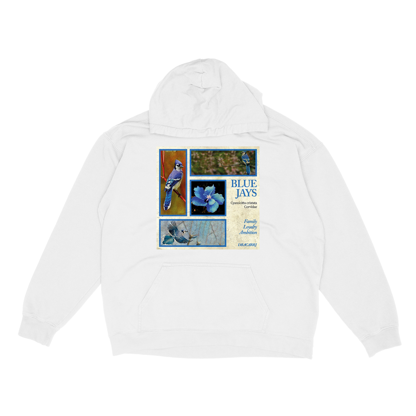 Blue Jay hoodie