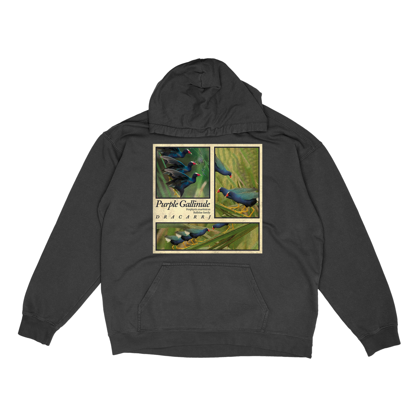 Purple Gallinule hoodie