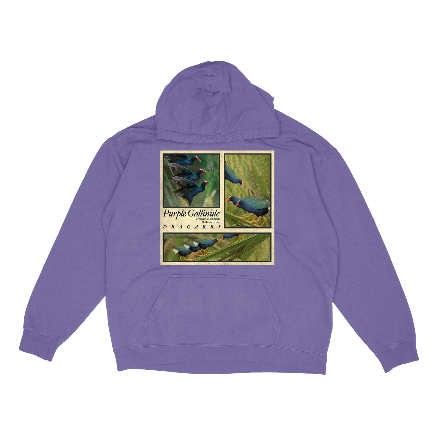 Purple Gallinule hoodie