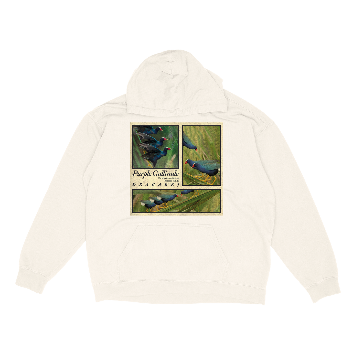 Purple Gallinule hoodie