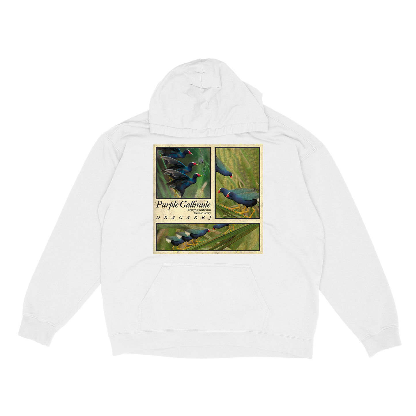 Purple Gallinule hoodie
