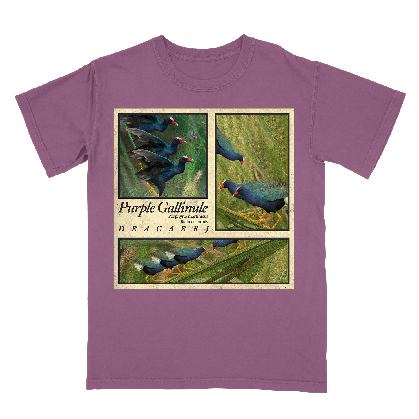 Purple Gallinule tee