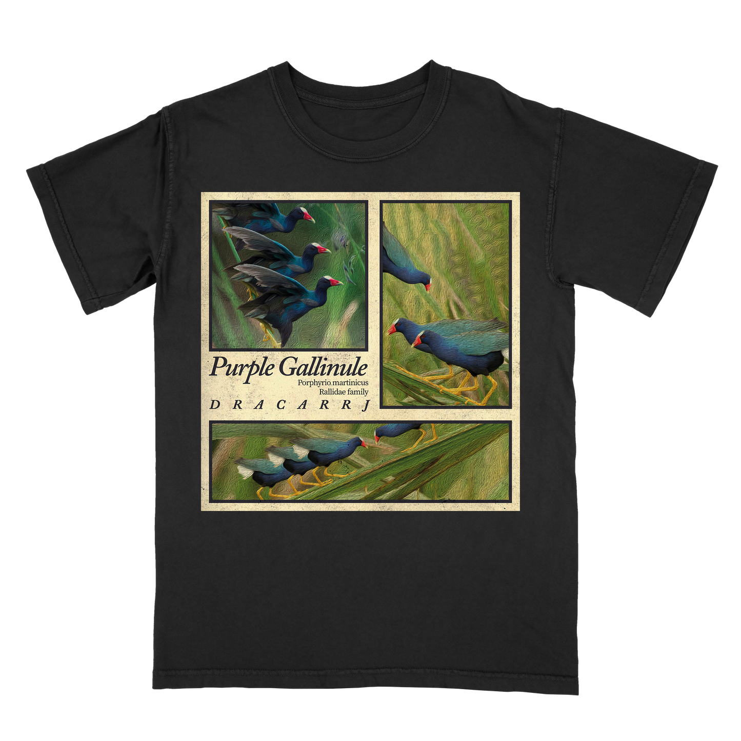 Purple Gallinule tee