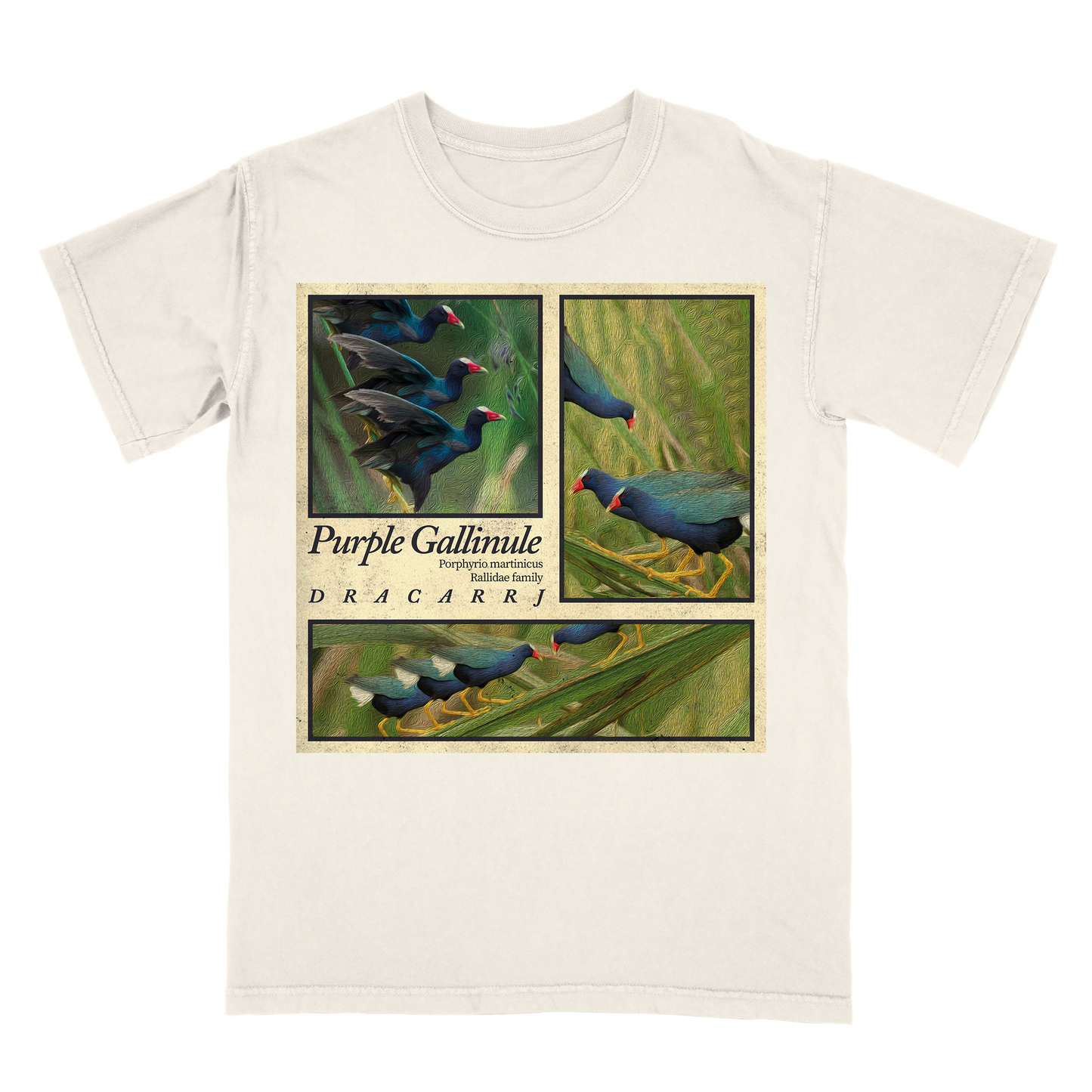 Purple Gallinule tee
