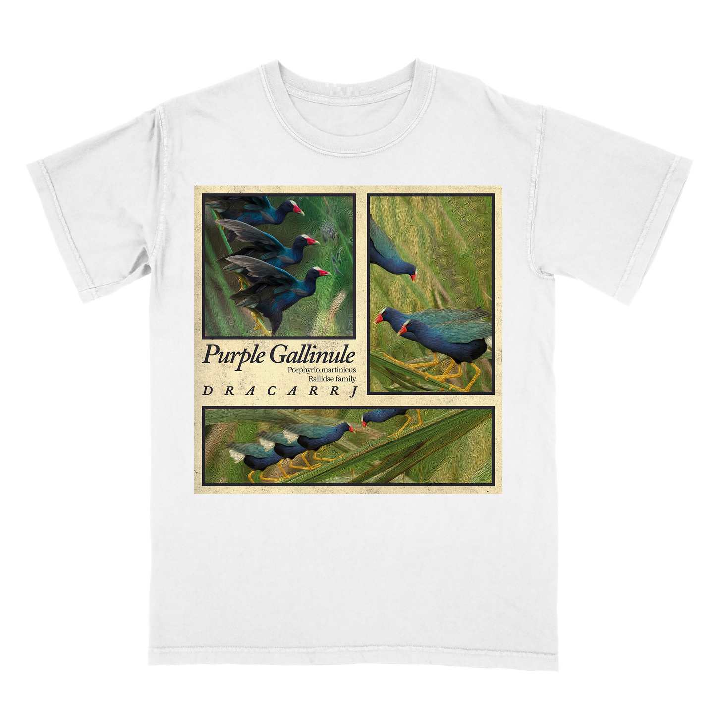 Purple Gallinule tee