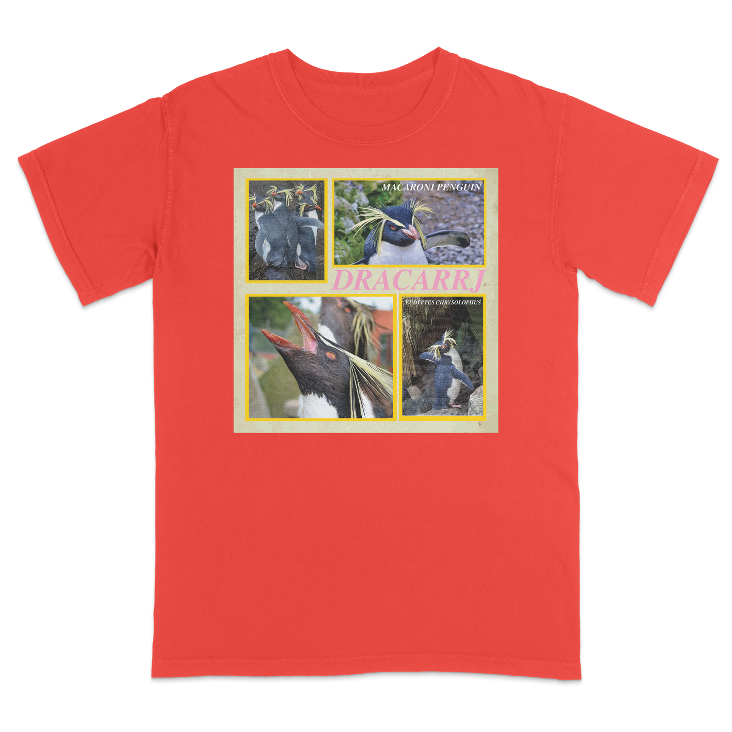 MACARONI PENGUIN TEE