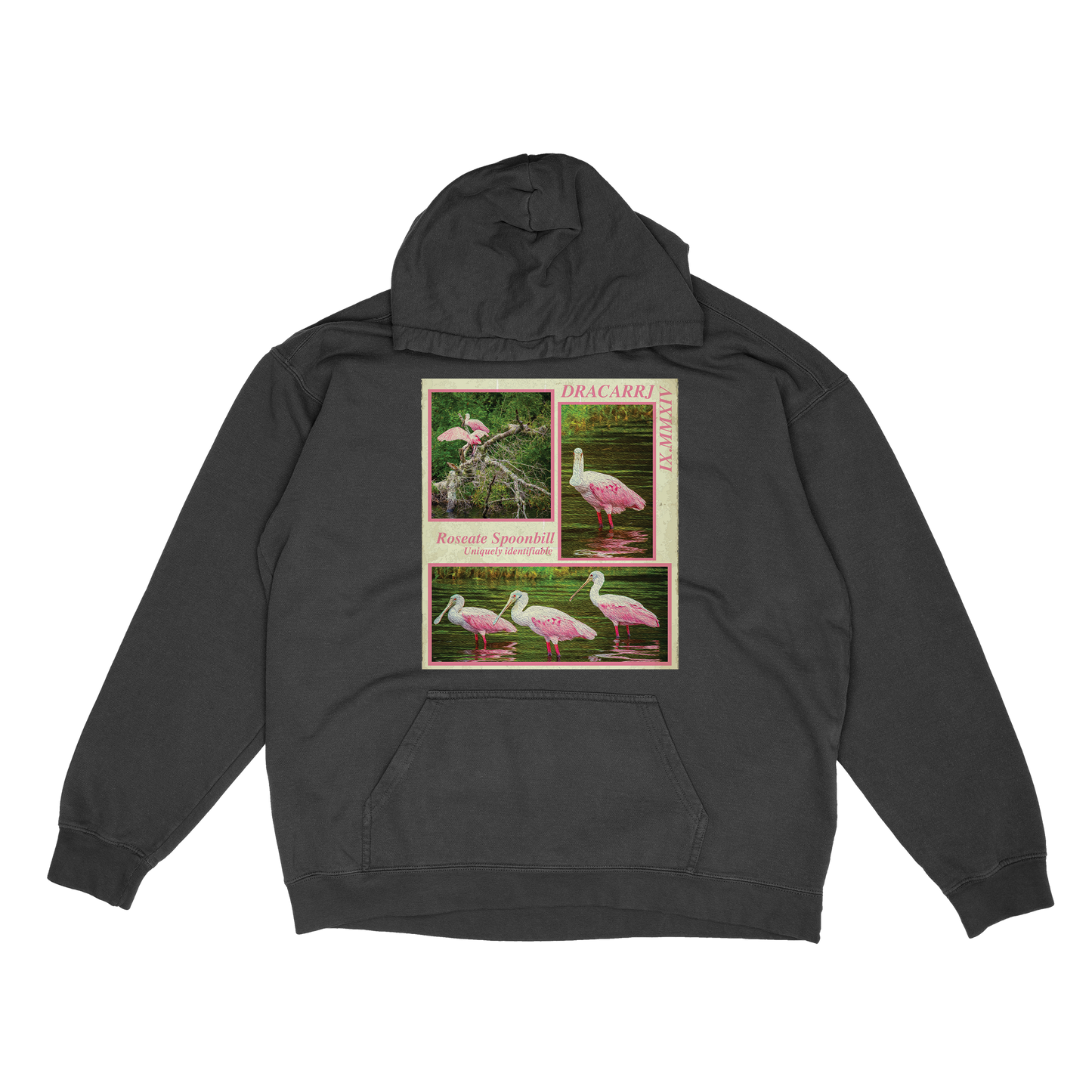 Spoonbill hoodie