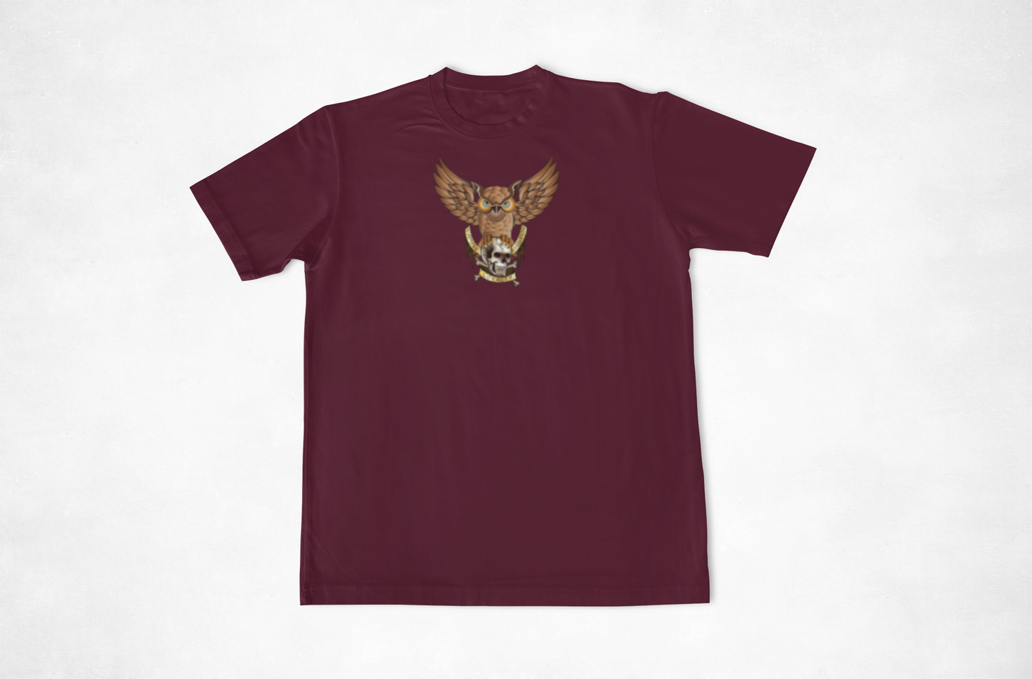 Owl V2