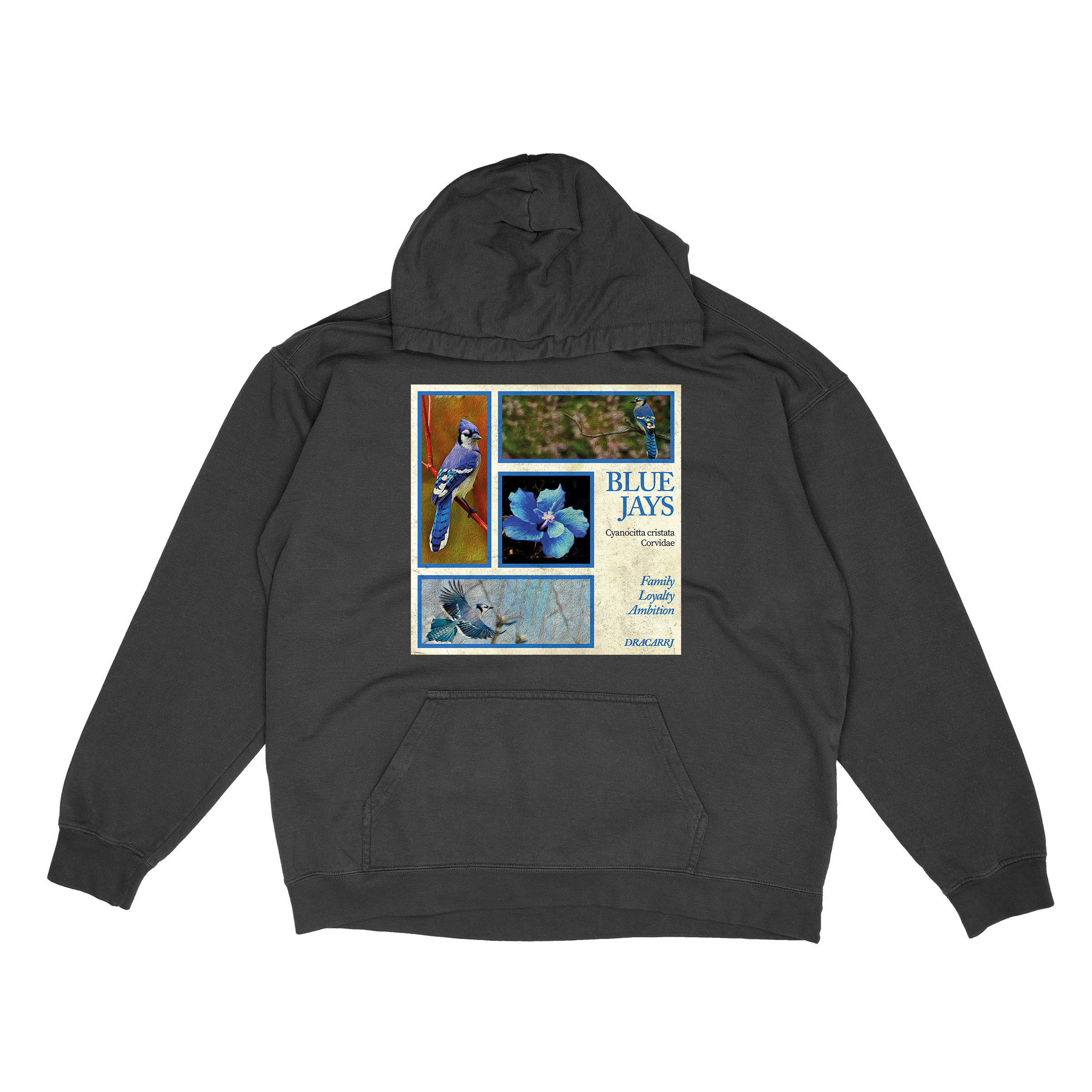 Blue Jay hoodie