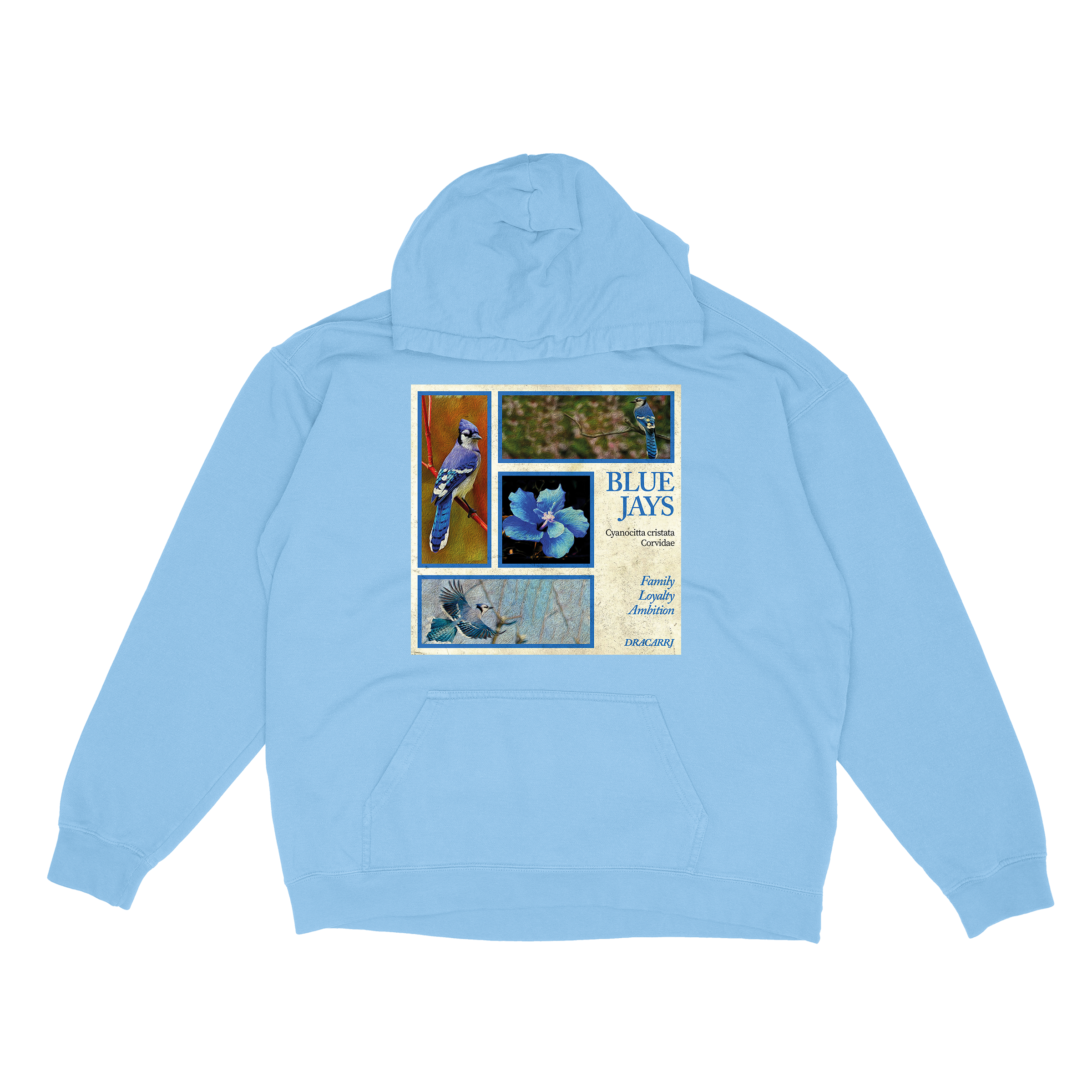 BLUE JAY HOODIE