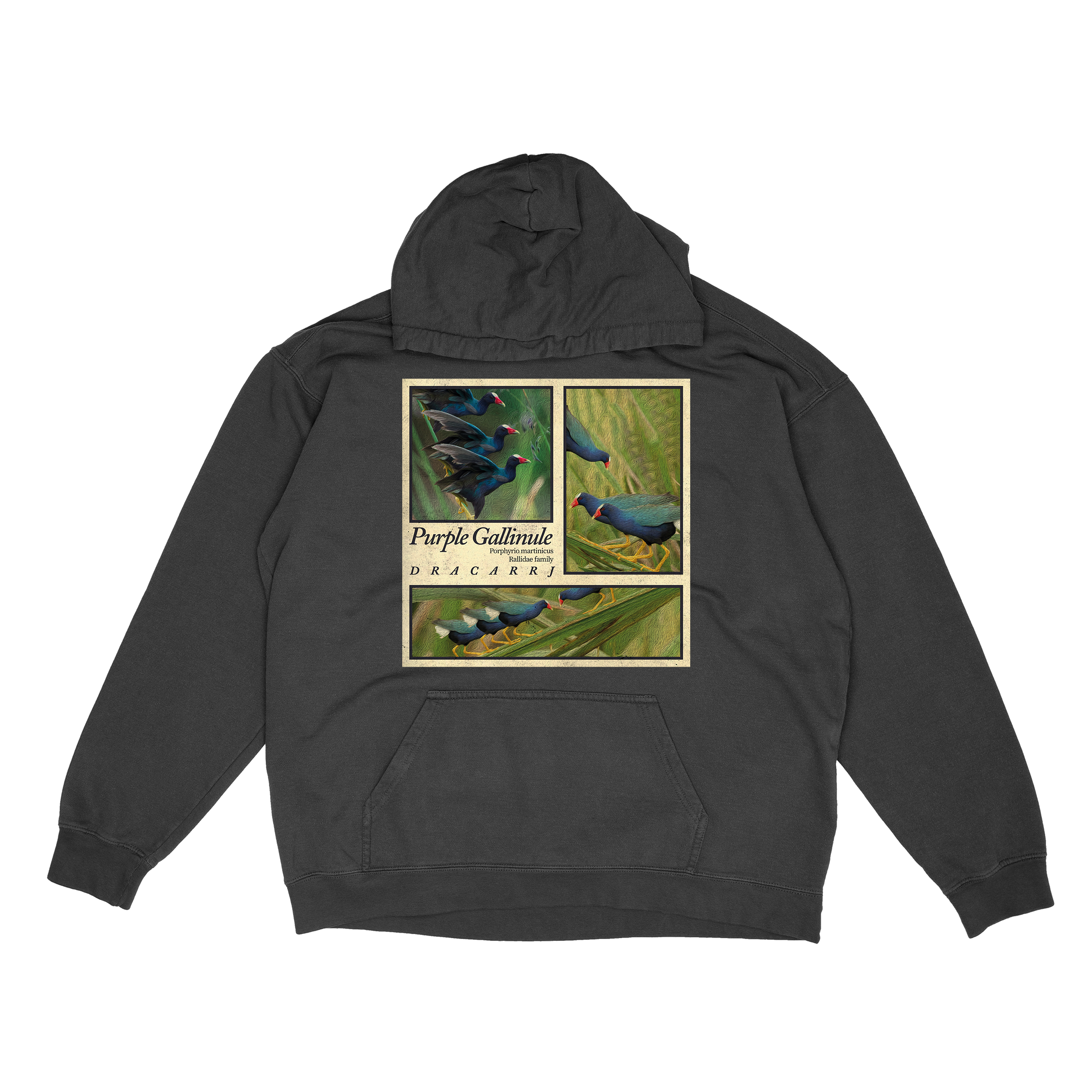 Purple Gallinule hoodie