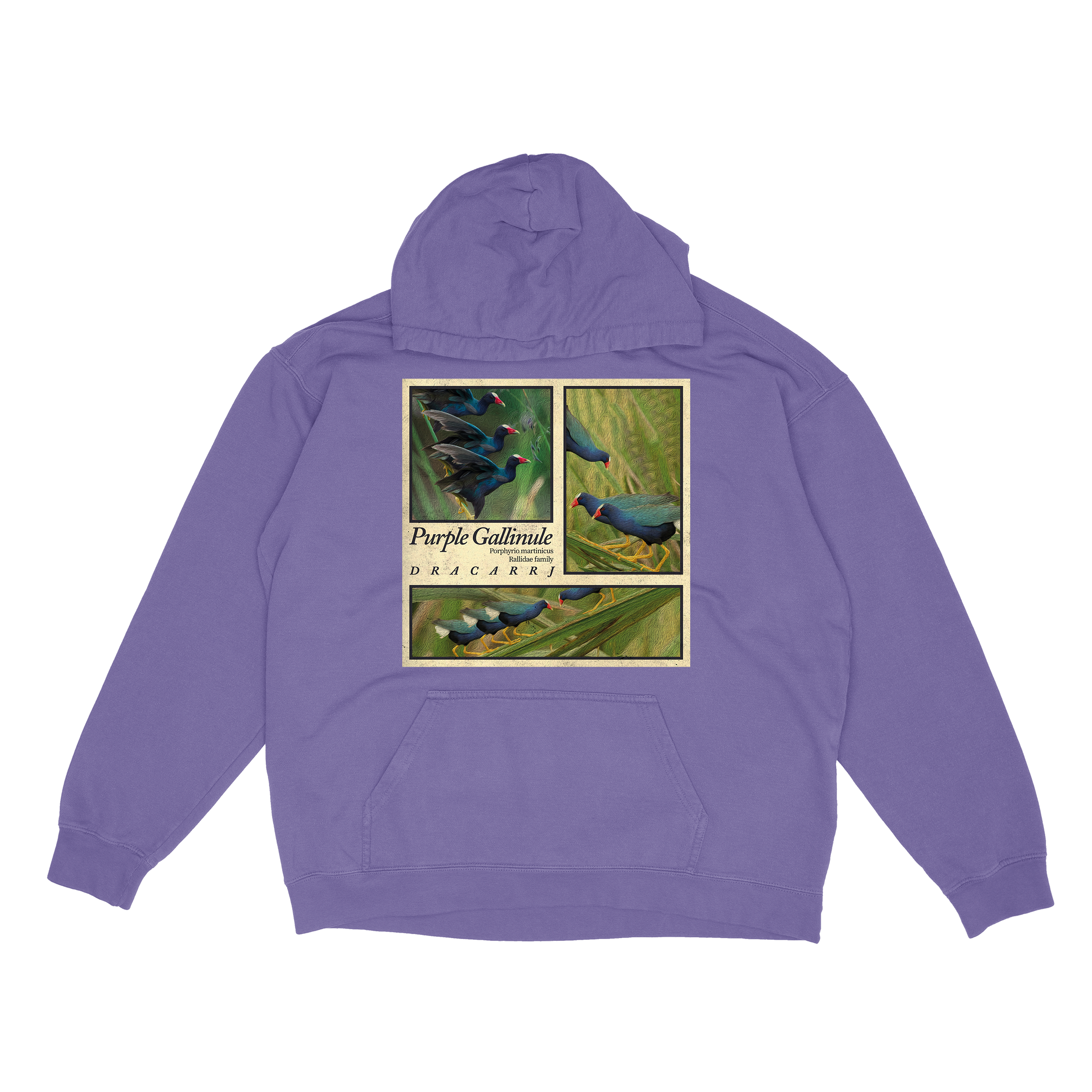 Purple Gallinule hoodie