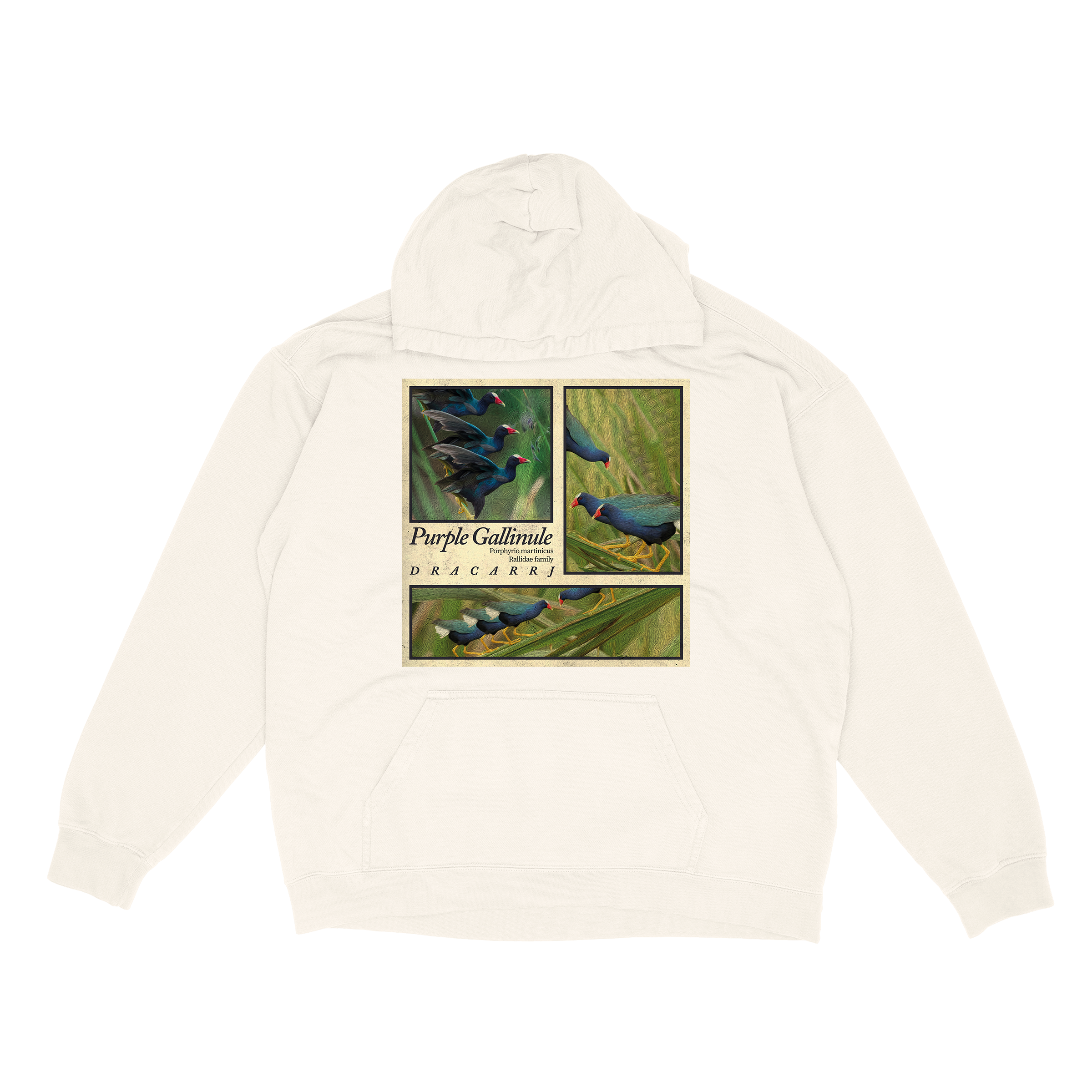 Purple Gallinule hoodie