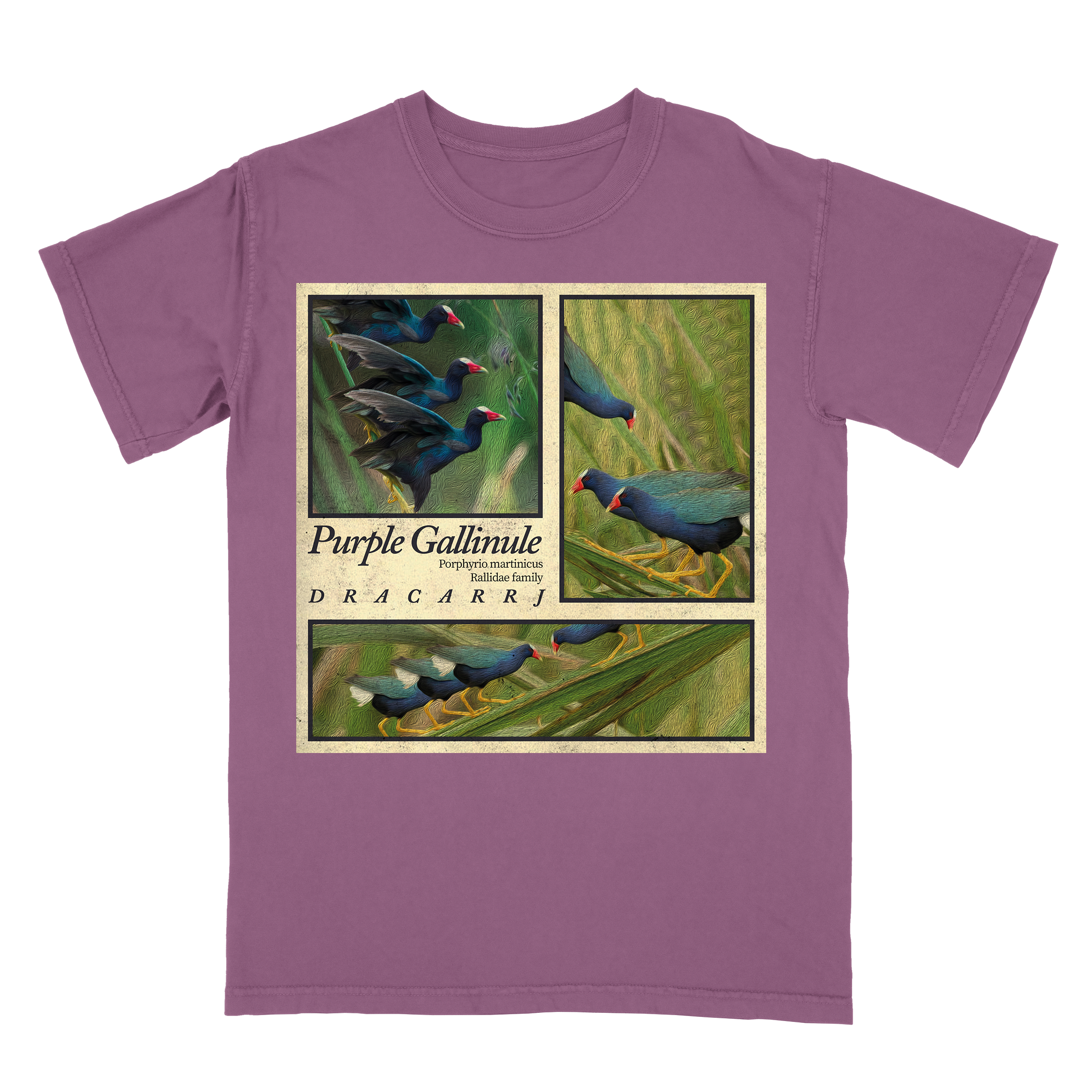 PURPLE GALLINULE TEE