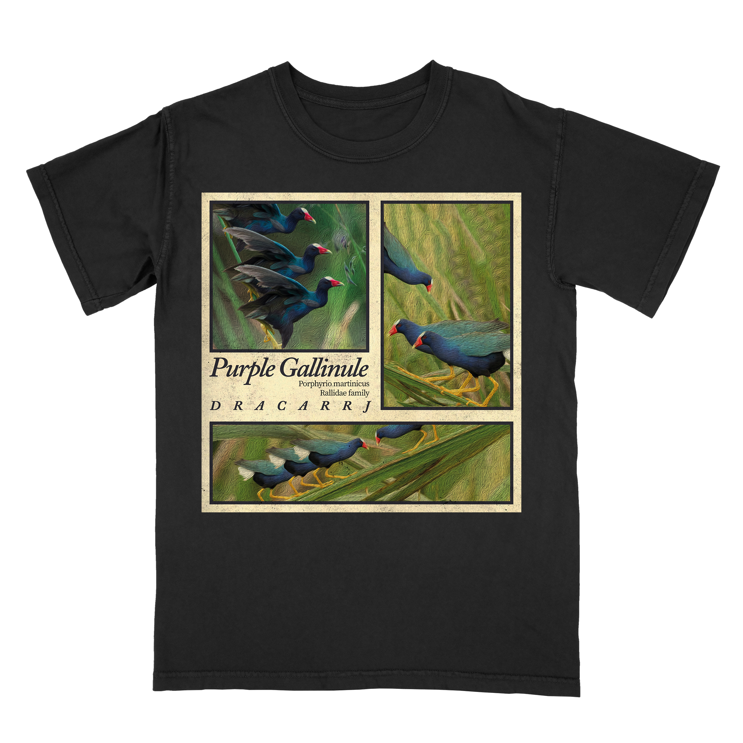 Purple Gallinule tee