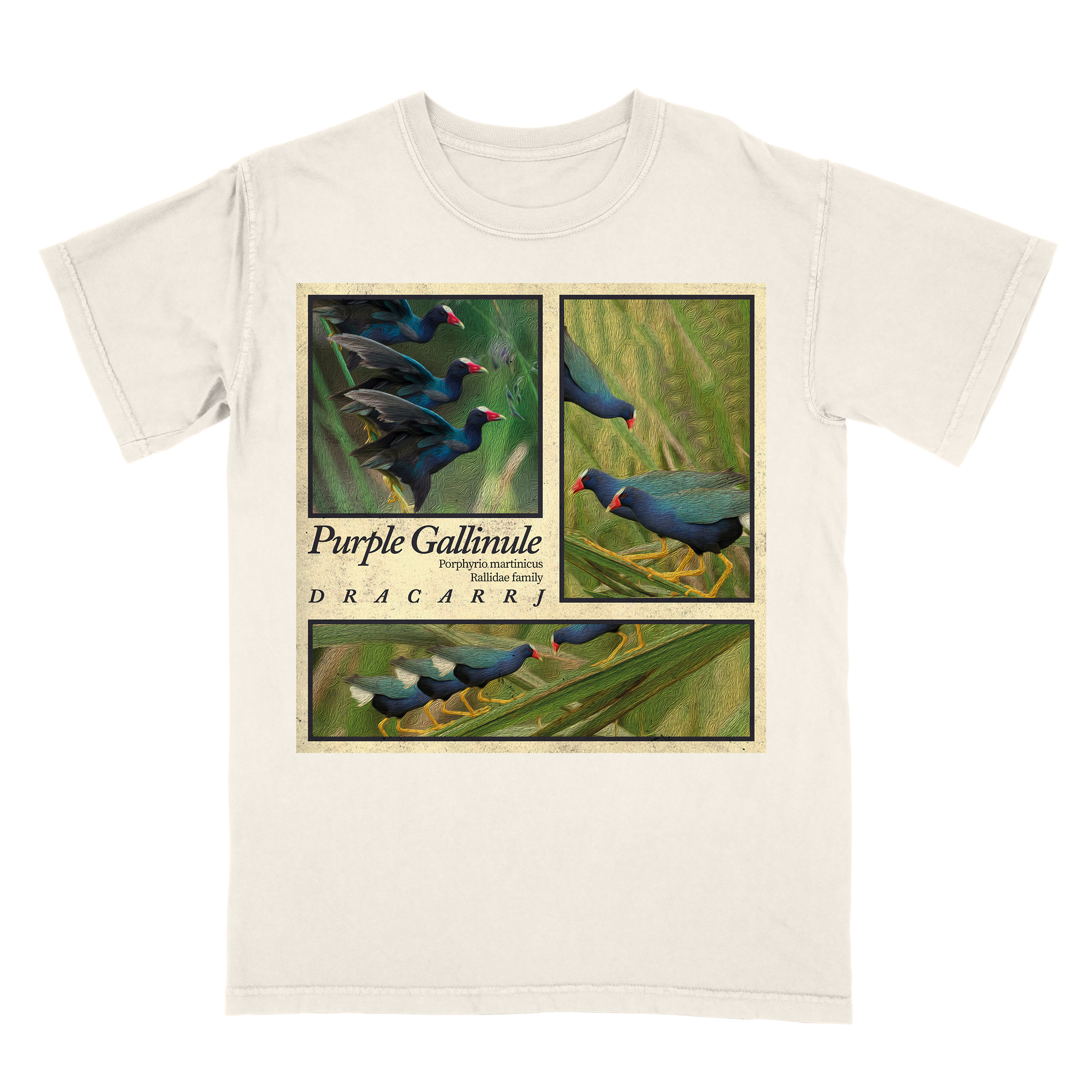 Purple Gallinule tee