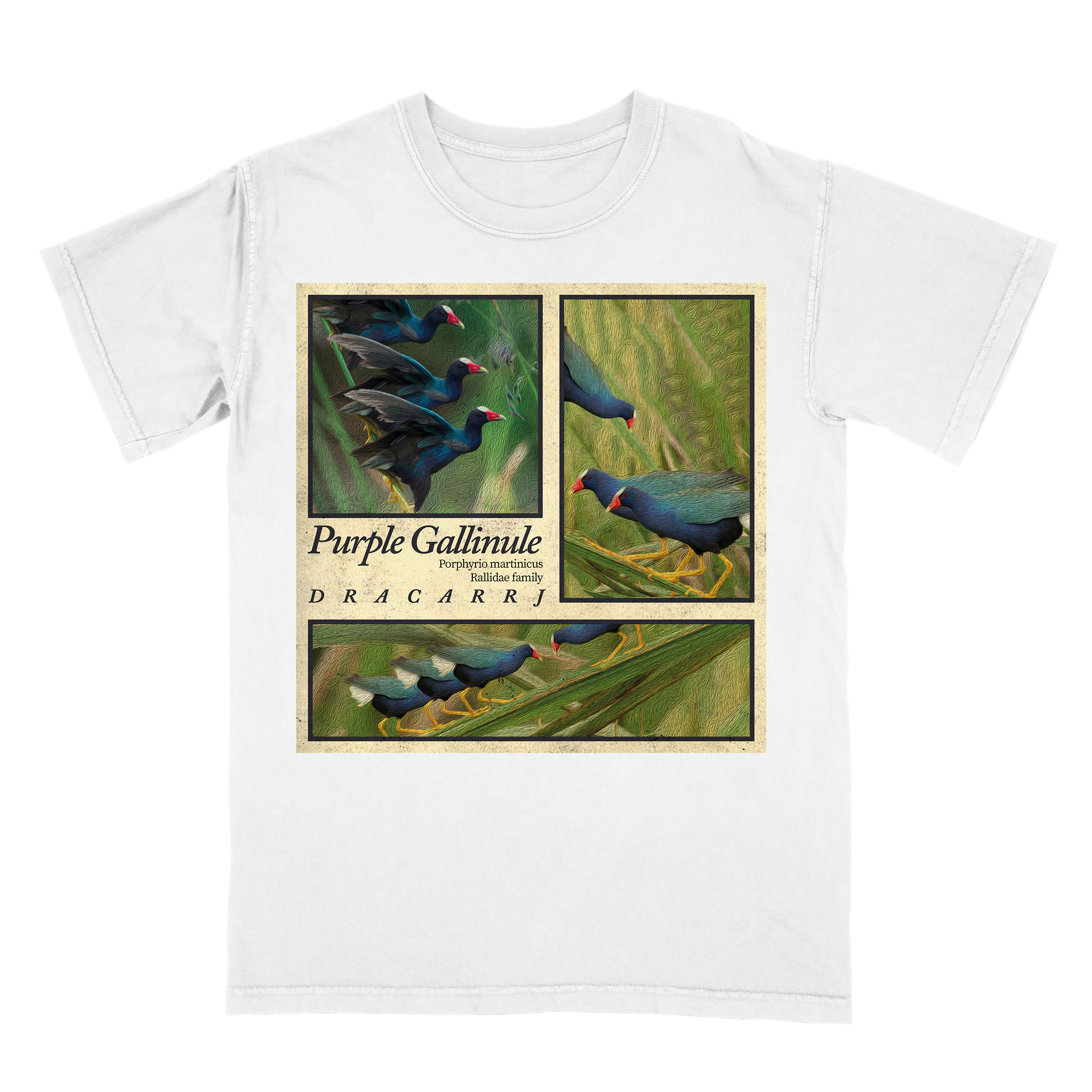 Purple Gallinule tee