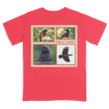 DRACULA PARROT