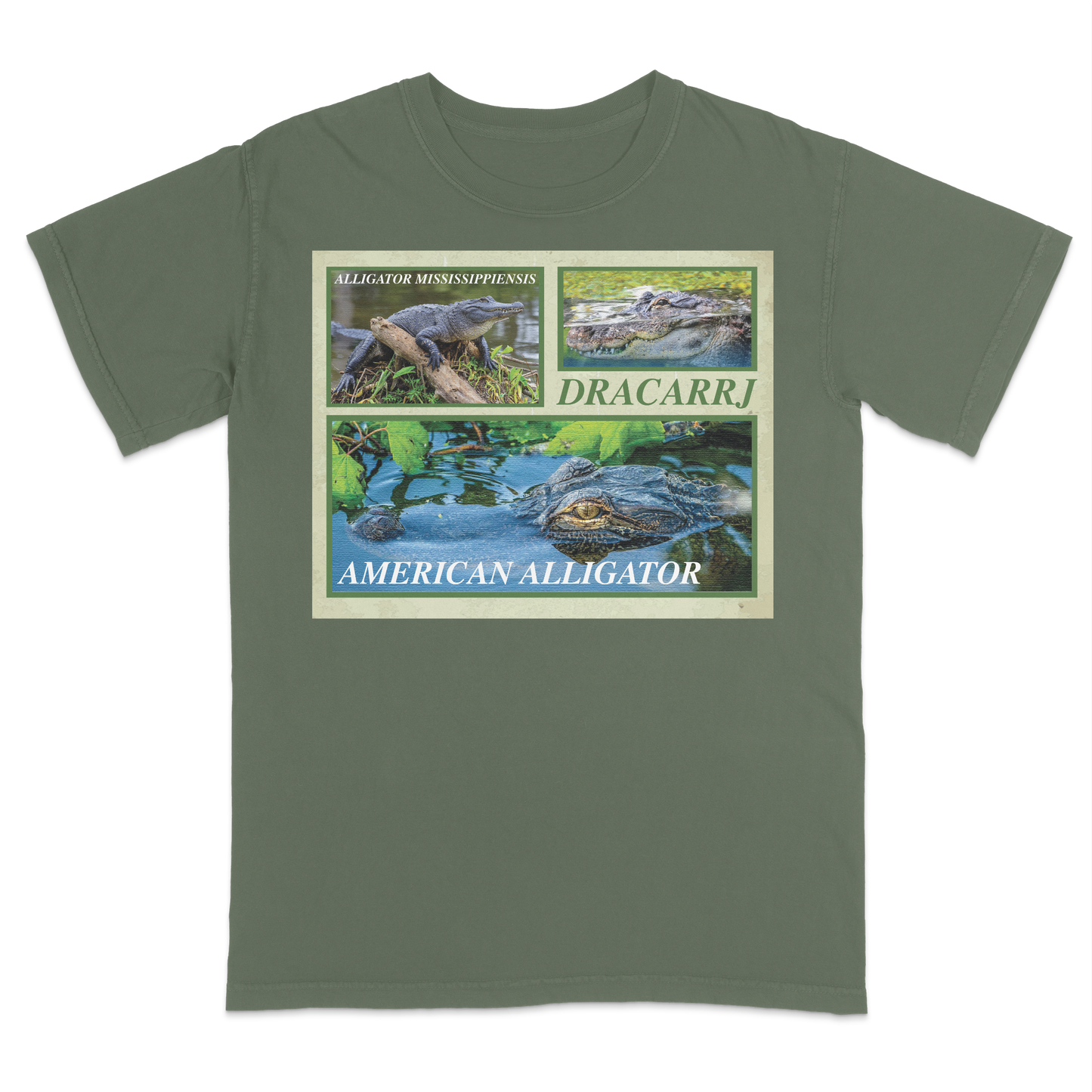 AMERICAN ALLIGATOR TEE