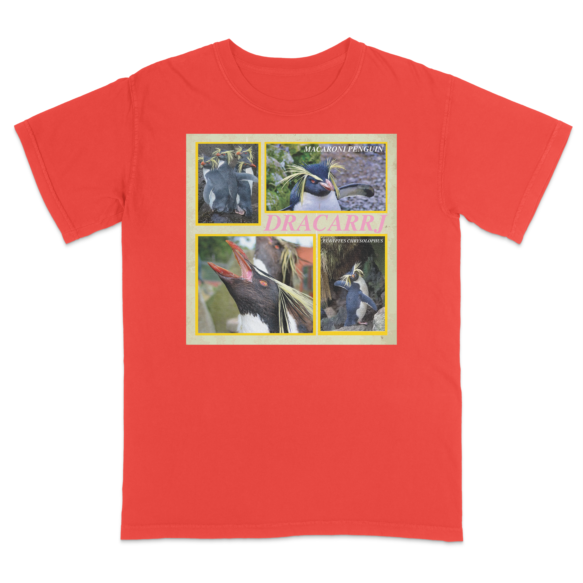 MACARONI PENGUIN TEE
