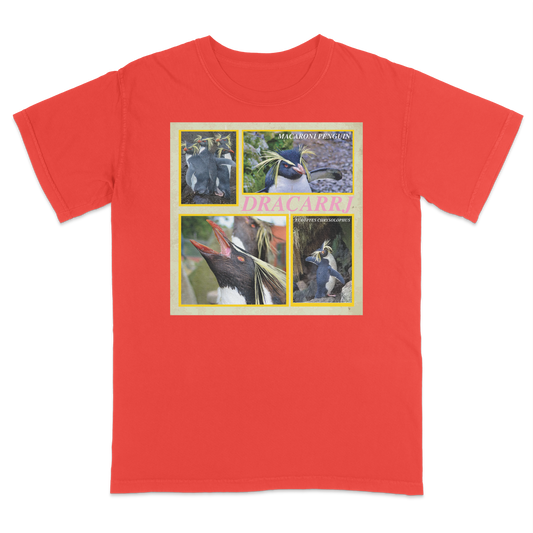 MACARONI PENGUIN TEE