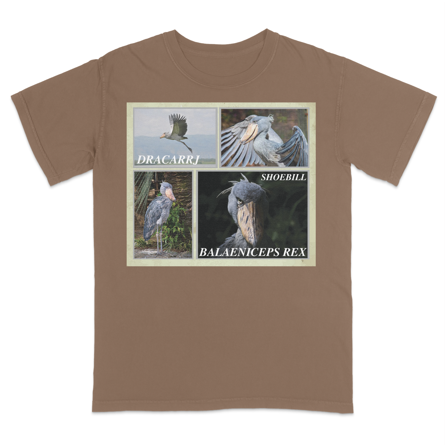 SHOEBILL STORK TEE
