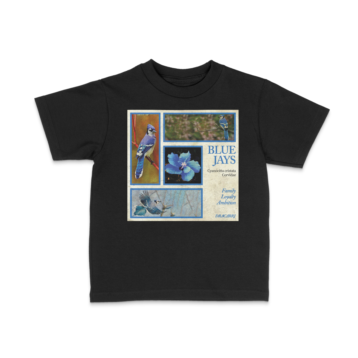 DRACARRJ BLUE JAY 6.0 oz kids tee in Black, front