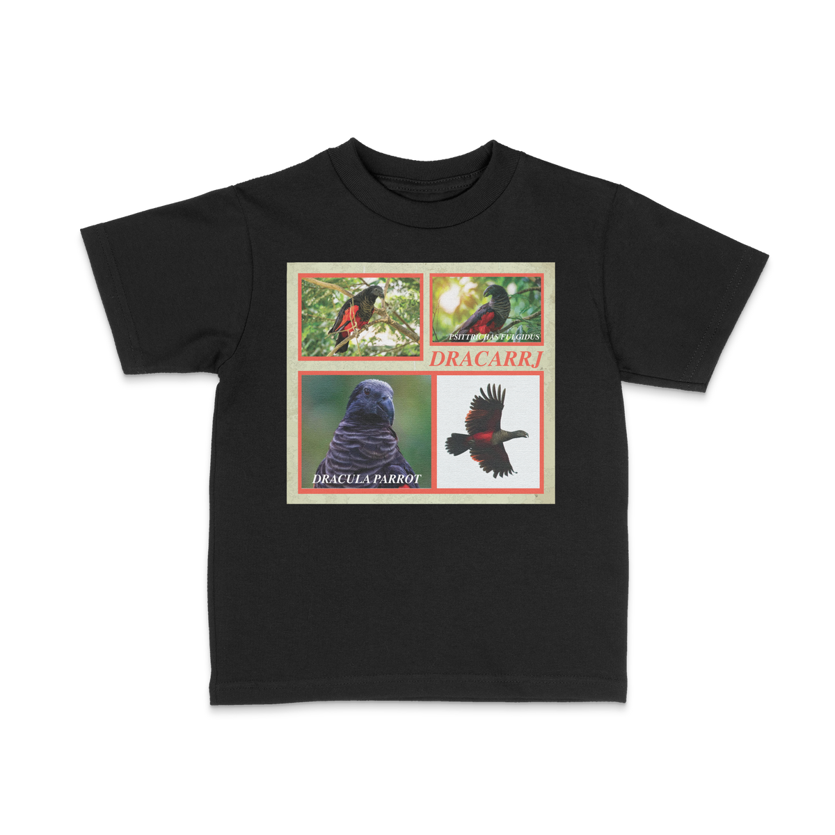 DRACARRJ DRACULA PARROT 6.0 oz kids tee in Black, front