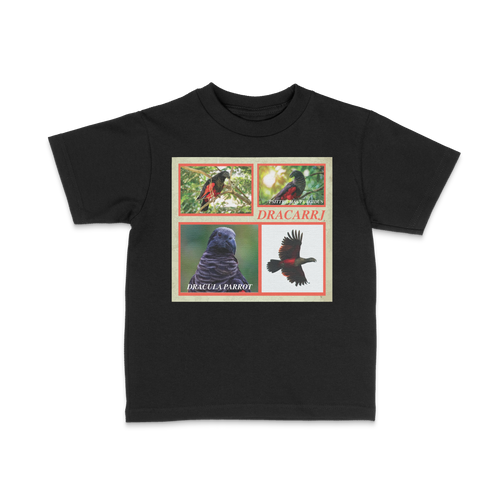 DRACARRJ DRACULA PARROT 6.0 oz kids tee in Black, front