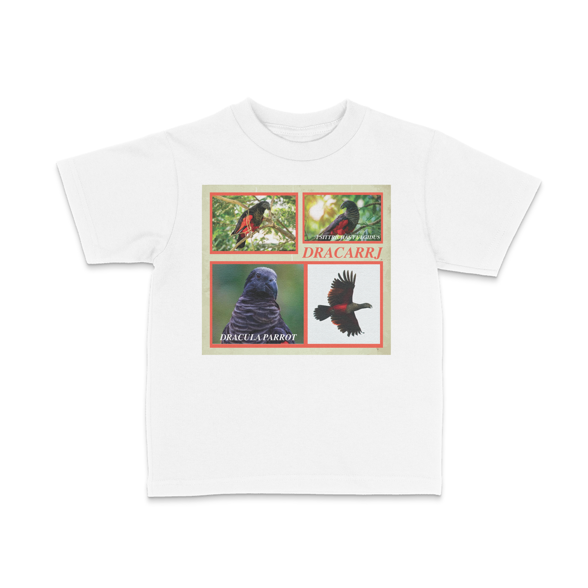 DRACARRJ DRACULA PARROT 6.0 oz kids tee in White, front