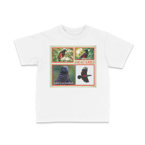 DRACARRJ DRACULA PARROT 6.0 oz kids tee in White, front