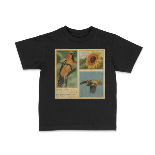 DRACARRJ ORIOLE 6.0 oz kids tee in Black, front