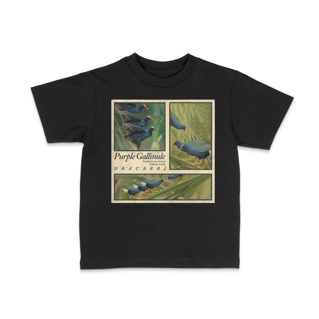 DRACARRJ PURPLE GALLINULE 6.0 oz kids tee in Black, front