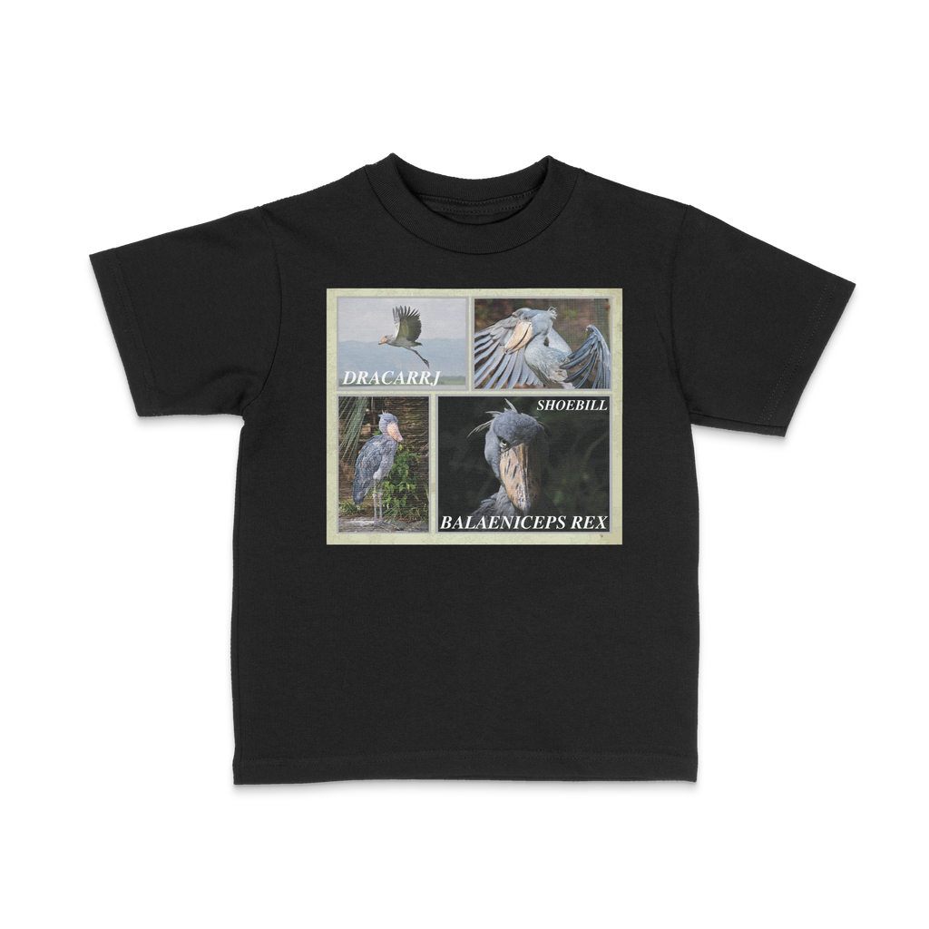 DRACARRJ SHOEBILL STORK 6.0 oz kids tee in Black, front