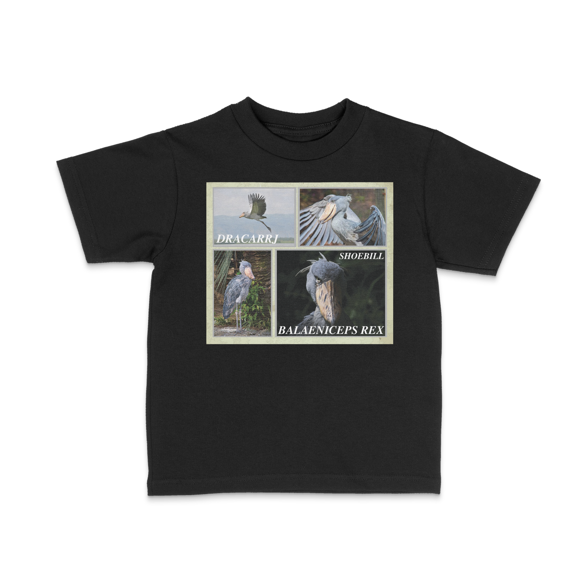 DRACARRJ SHOEBILL STORK 6.0 oz kids tee in Black, front