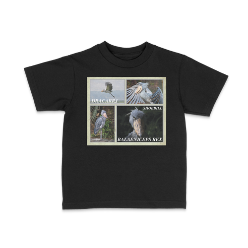 DRACARRJ SHOEBILL STORK 6.0 oz kids tee in Black, front