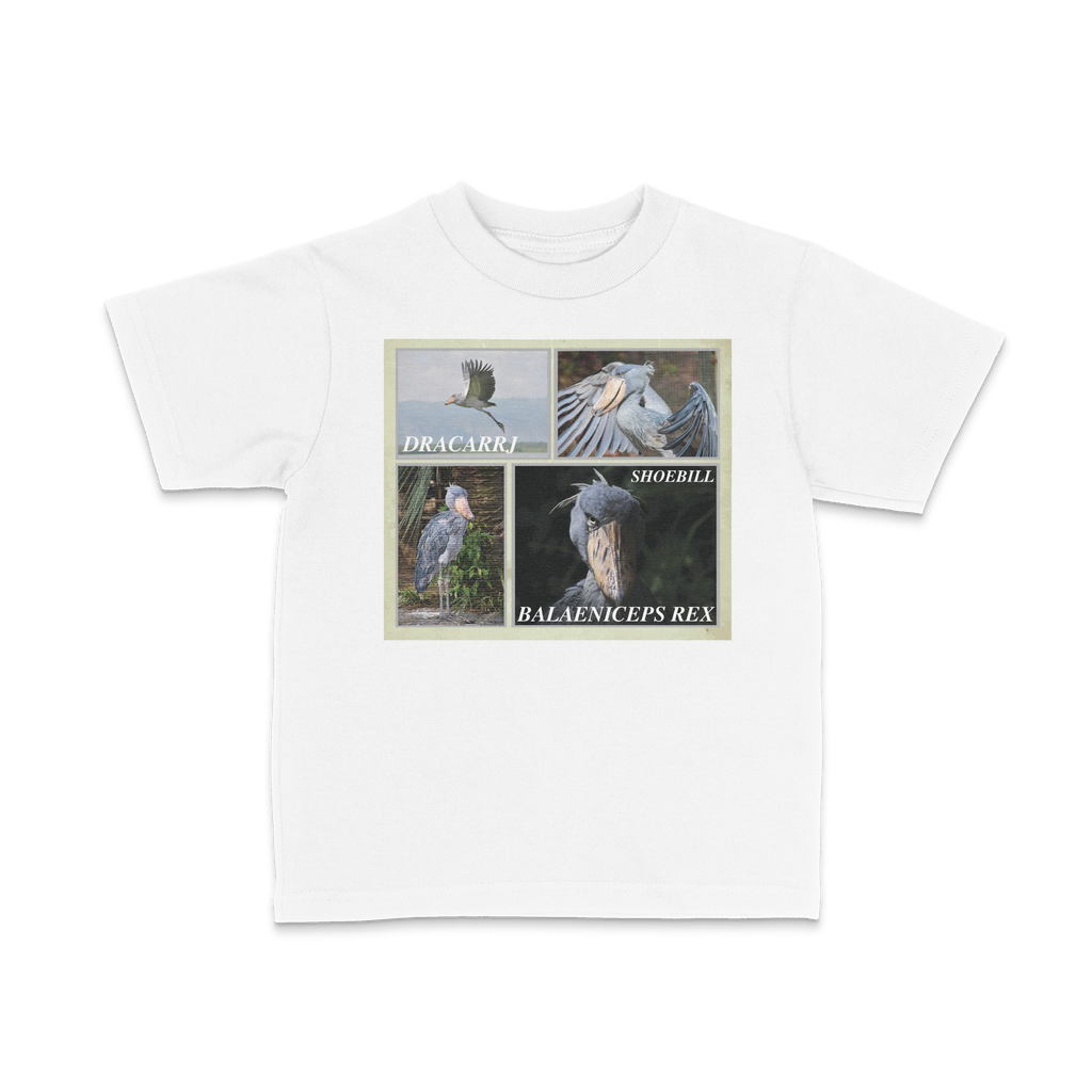 DRACARRJ SHOEBILL STORK 6.0 oz kids tee in White, front