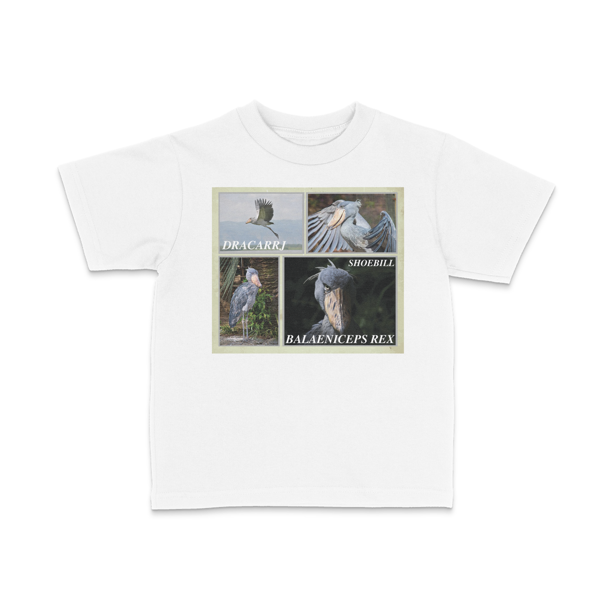 DRACARRJ SHOEBILL STORK 6.0 oz kids tee in White, front