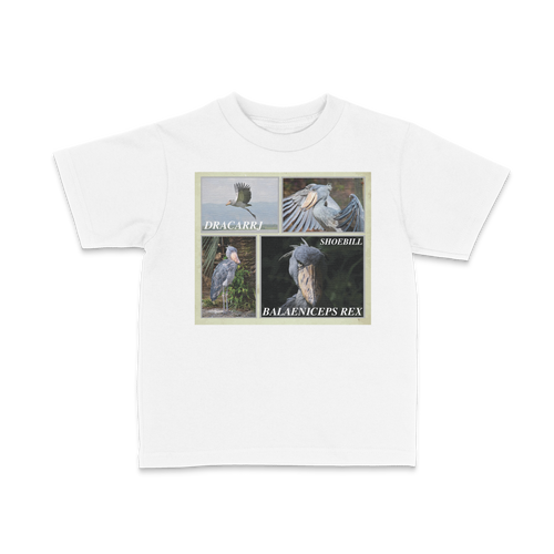 DRACARRJ SHOEBILL STORK 6.0 oz kids tee in White, front