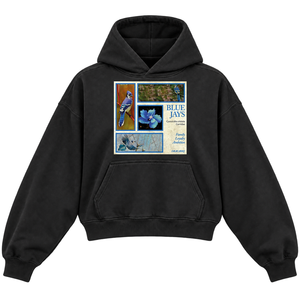 BLUE JAY CROPPED HOODIE — black — front