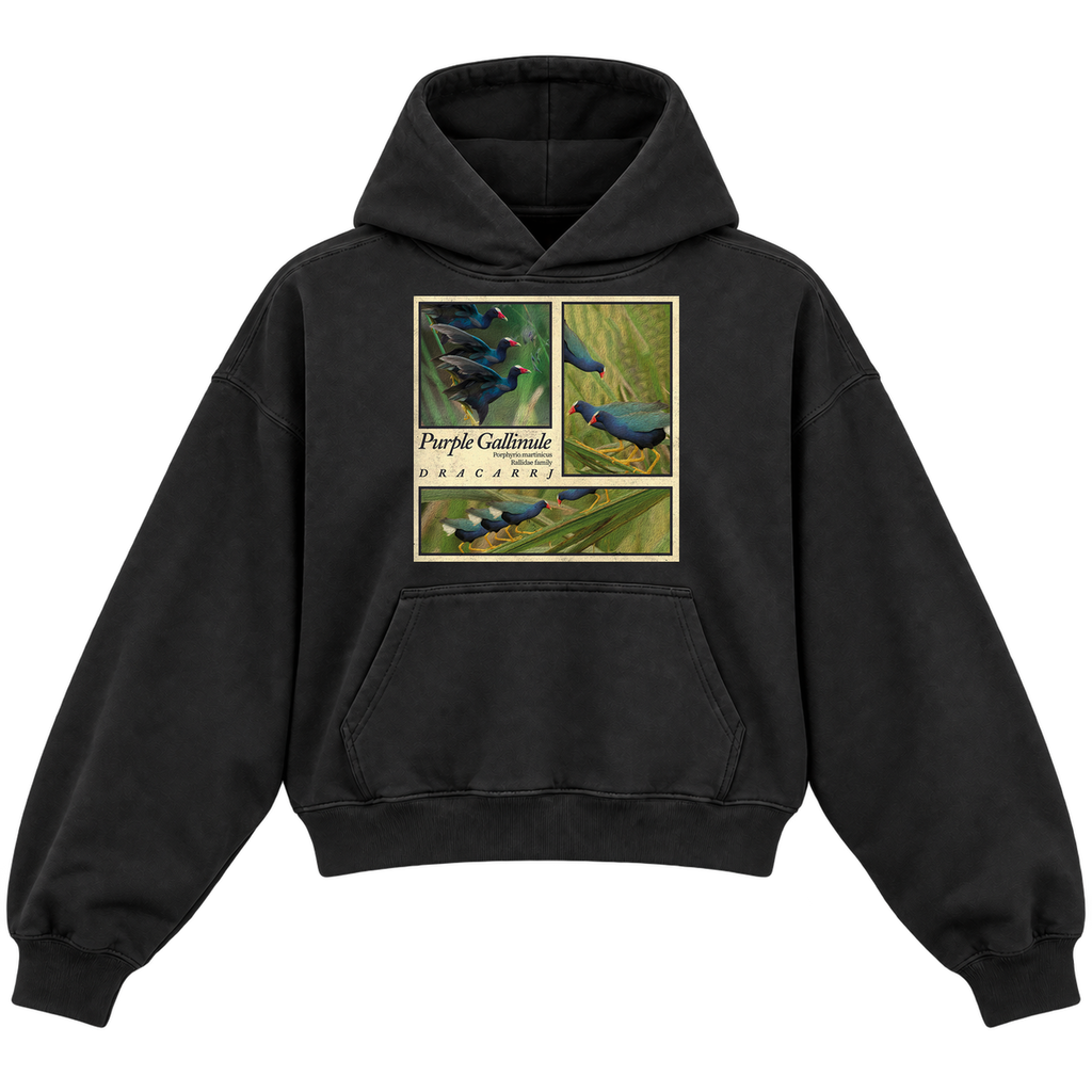 PURPLE GALLINULE CROPPED HOODIE — black — front