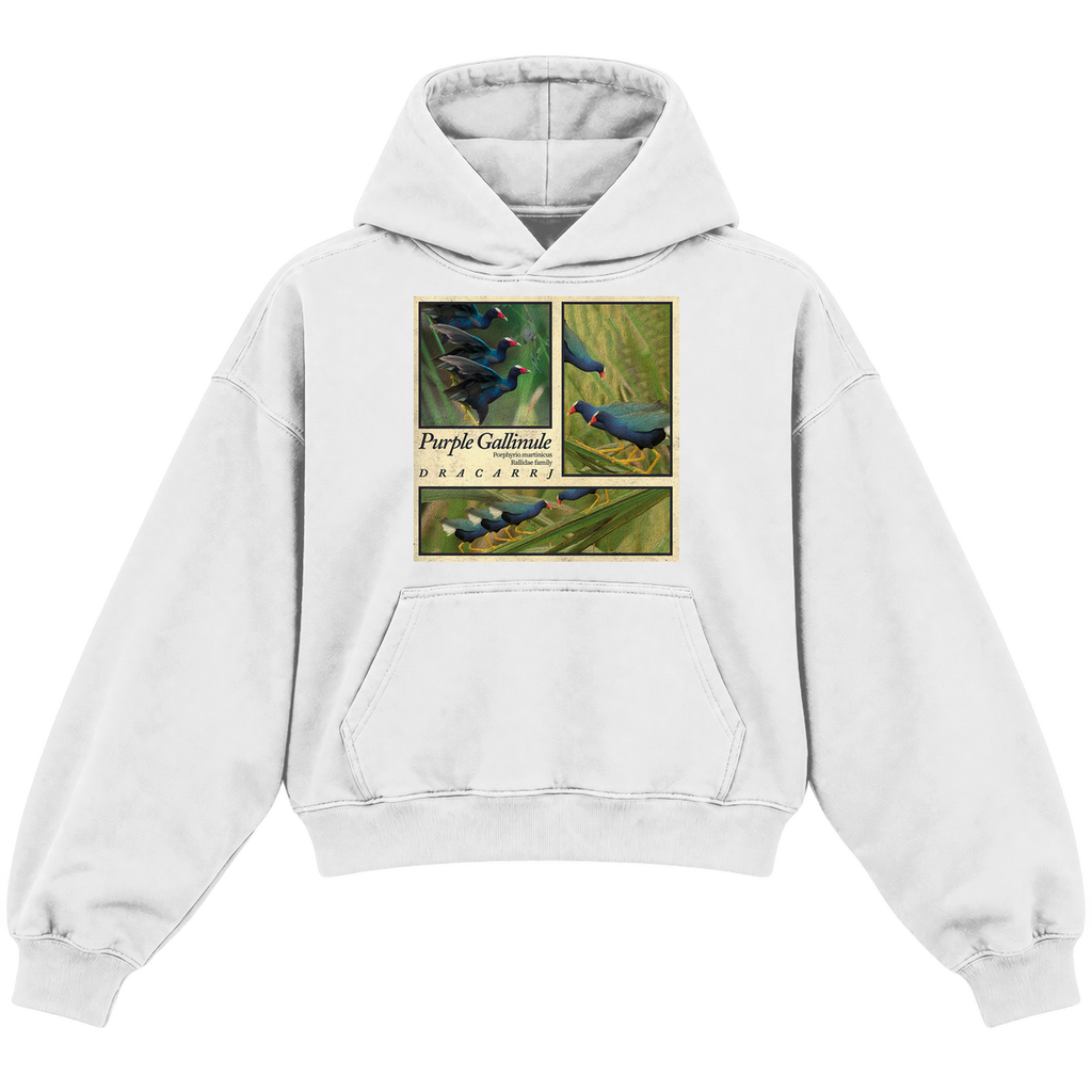 PURPLE GALLINULE CROPPED HOODIE — heather-white — front