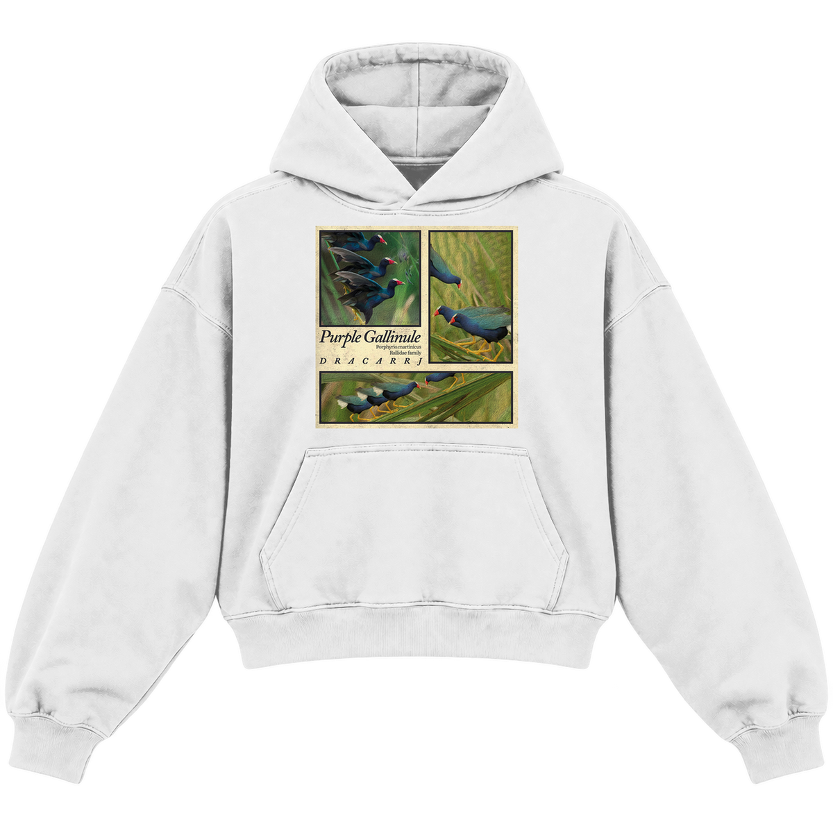 PURPLE GALLINULE CROPPED HOODIE — heather-white — front