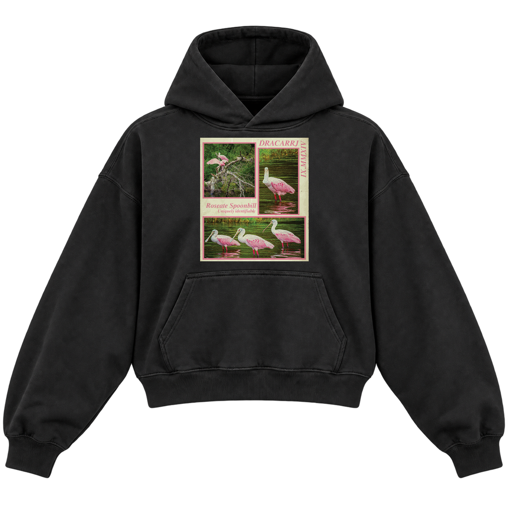SPOONBILL CROPPED HOODIE — black — front