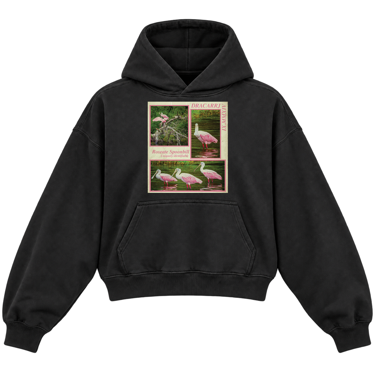 SPOONBILL CROPPED HOODIE — black — front